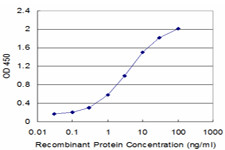 GLRA1 Antibody in ELISA (ELISA)