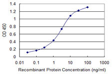 GLS Antibody in ELISA (ELISA)