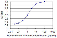 GLS Antibody in ELISA (ELISA)