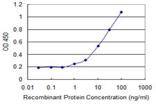 GM2A Antibody in ELISA (ELISA)