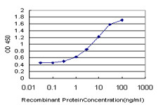 GNAI2 Antibody in ELISA (ELISA)