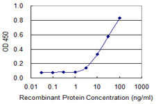 GNAQ Antibody in ELISA (ELISA)