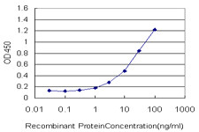 GOLGA1 Antibody in ELISA (ELISA)