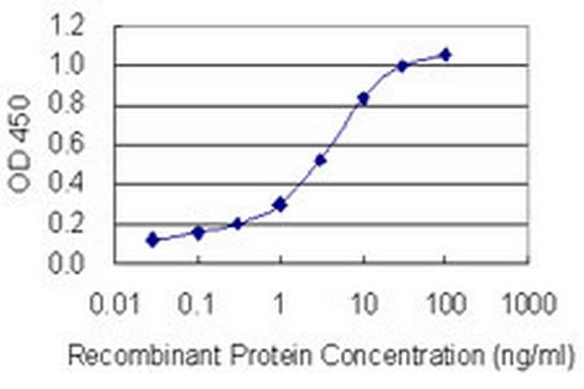 GOT1 Antibody in ELISA (ELISA)