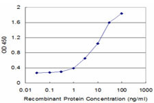 SFN Antibody in ELISA (ELISA)