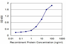 SFN Antibody in ELISA (ELISA)