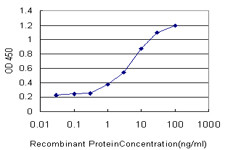 GRK4 Antibody in ELISA (ELISA)