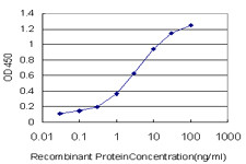 GRK4 Antibody in ELISA (ELISA)