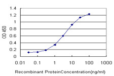 GRK4 Antibody in ELISA (ELISA)