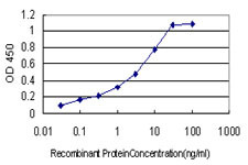 GPS1 Antibody in ELISA (ELISA)