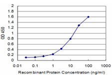 GRIA1 Antibody in ELISA (ELISA)