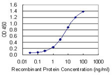 GRLF1 Antibody in ELISA (ELISA)