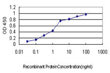 CXCL1 Antibody in ELISA (ELISA)