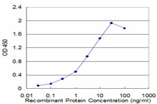 GSTP1 Antibody in ELISA (ELISA)