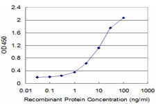 GTF2A2 Antibody in ELISA (ELISA)