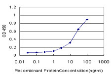 GUCY1A3 Antibody in ELISA (ELISA)