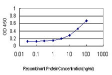 GUCY2C Antibody in ELISA (ELISA)