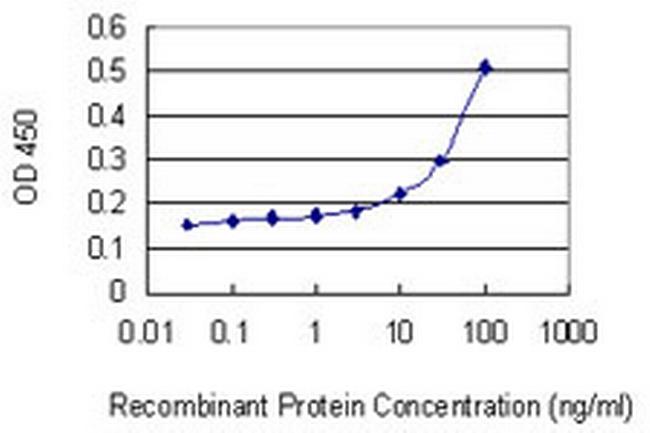 GZMA Antibody in ELISA (ELISA)