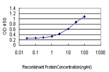 HBB Antibody in ELISA (ELISA)