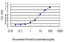 HBB Antibody in ELISA (ELISA)