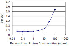 HBZ Antibody in ELISA (ELISA)