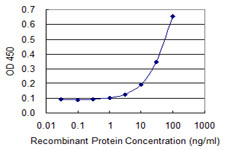 HCCS Antibody in ELISA (ELISA)