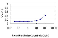 HCK Antibody in ELISA (ELISA)