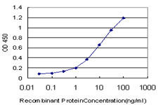 HCLS1 Antibody in ELISA (ELISA)