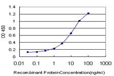 HCLS1 Antibody in ELISA (ELISA)