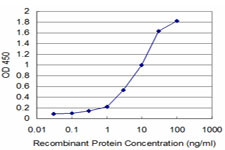 HCLS1 Antibody in ELISA (ELISA)