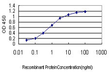 HD Antibody in ELISA (ELISA)