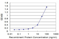 CFHR1 Antibody in ELISA (ELISA)