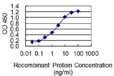 HIF1A Antibody in ELISA (ELISA)