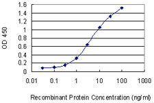 UBE2K Antibody in ELISA (ELISA)