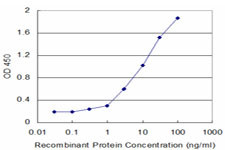 HK2 Antibody in ELISA (ELISA)