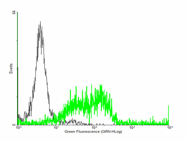 HLA-A Antibody in Flow Cytometry (Flow)