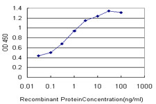 FOXA1 Antibody in ELISA (ELISA)