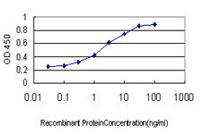 FOXA2 Antibody in ELISA (ELISA)