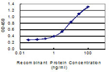 HNF4A Antibody in ELISA (ELISA)