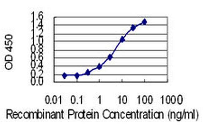 HNMT Antibody in ELISA (ELISA)