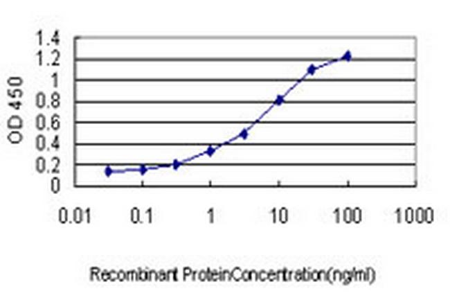 HOXB1 Antibody in ELISA (ELISA)