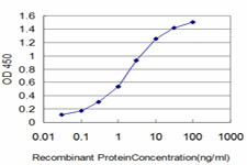 HOXB7 Antibody in ELISA (ELISA)