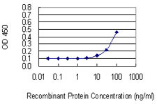 HPN Antibody in ELISA (ELISA)