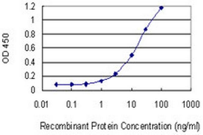 HTR1E Antibody in ELISA (ELISA)