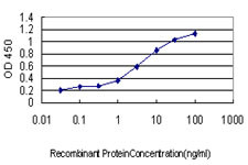 ID1 Antibody in ELISA (ELISA)