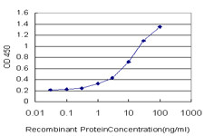 ID2 Antibody in ELISA (ELISA)