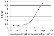 IL1A Antibody in ELISA (ELISA)