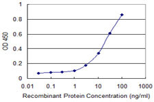 IL1A Antibody in ELISA (ELISA)