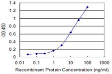 IL1A Antibody in ELISA (ELISA)