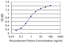 IL1RN Antibody in ELISA (ELISA)